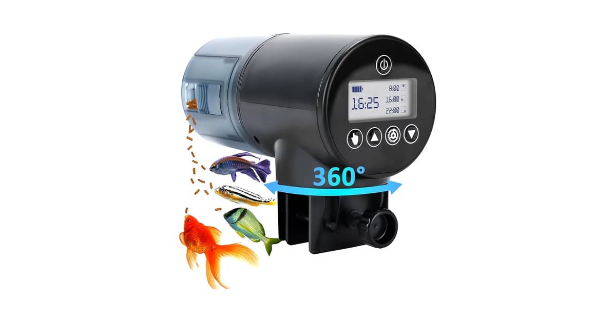 Qual Melhor Alimentador Automático Para Tanque de Peixe? Viaje Sem Preocupações