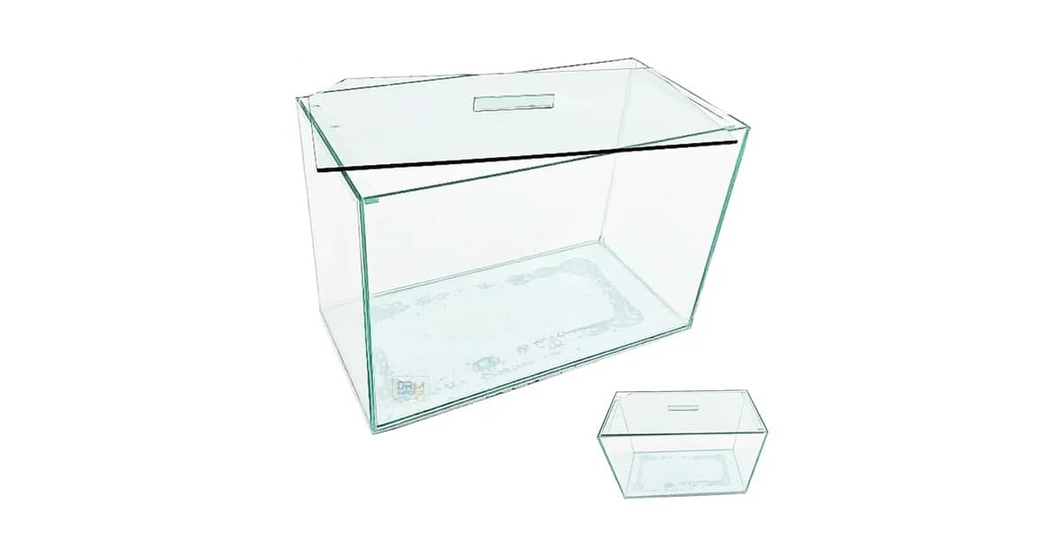 Qual melhor aquario? Tamanho, Formato e Kit Ideal