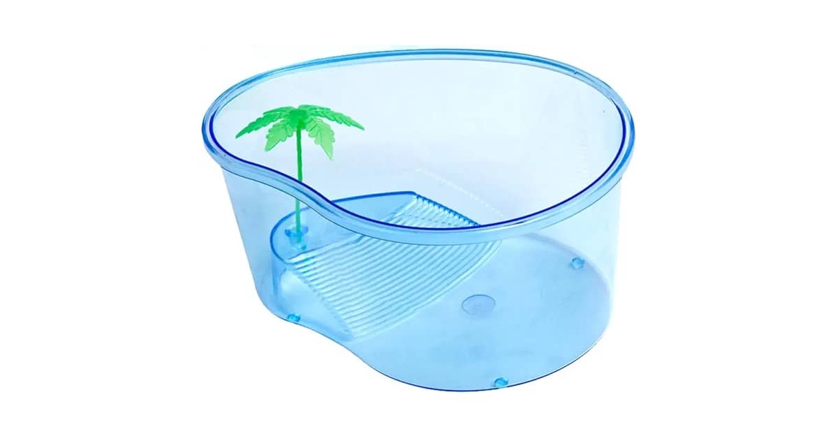 Qual Melhor Aquaterrário? Do Pequeno ao Extra Grande