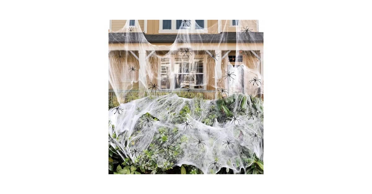 Qual Melhor Aranha Para Criar Como Pet? Comece Aqui