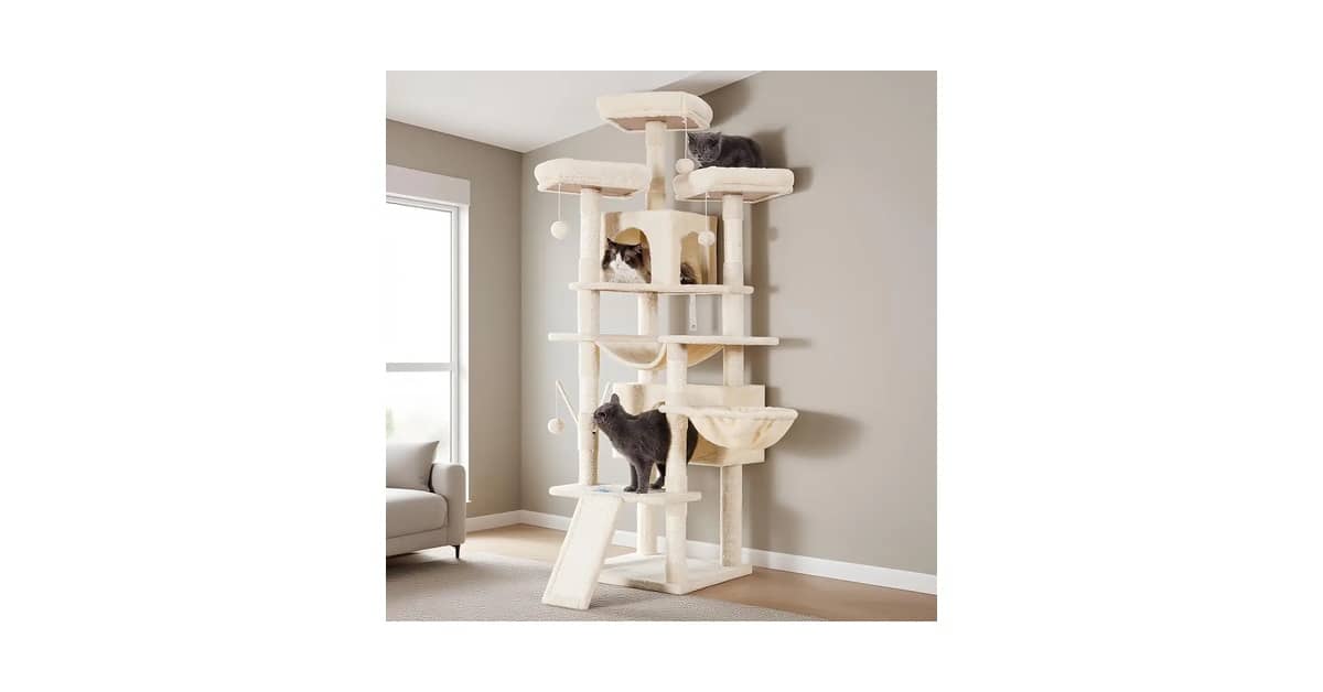 Qual Melhor Arranhador Com Vários Níveis Para Gatos Ativos?