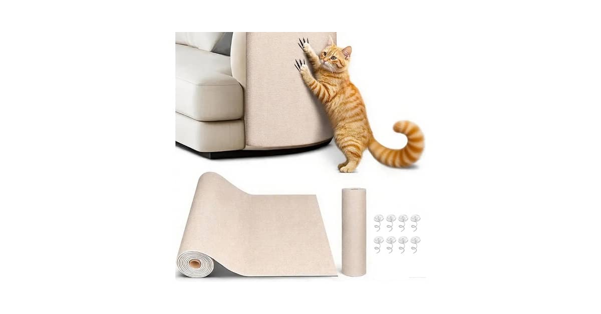 Qual Melhor Arranhador de Carpete para Gatos?