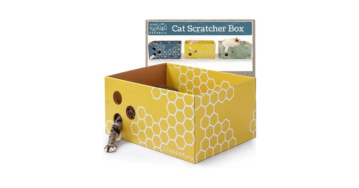 Qual Melhor Arranhador de Papelão Recarregável?