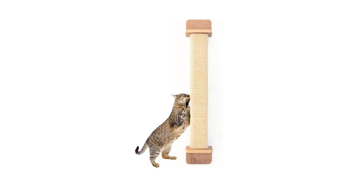 Qual Melhor Arranhador de Sisal Para Porta? Analise