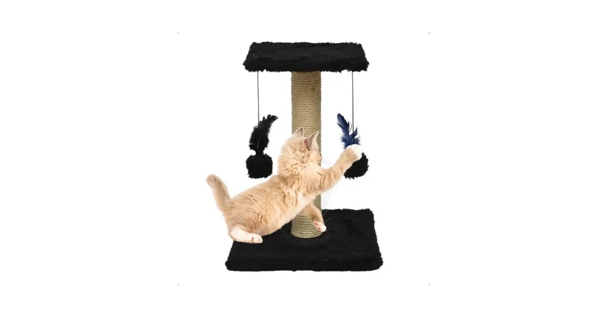 Qual Melhor Arranhador Para Gatos Que Não Gostam de Sisal: 3 Alternativas