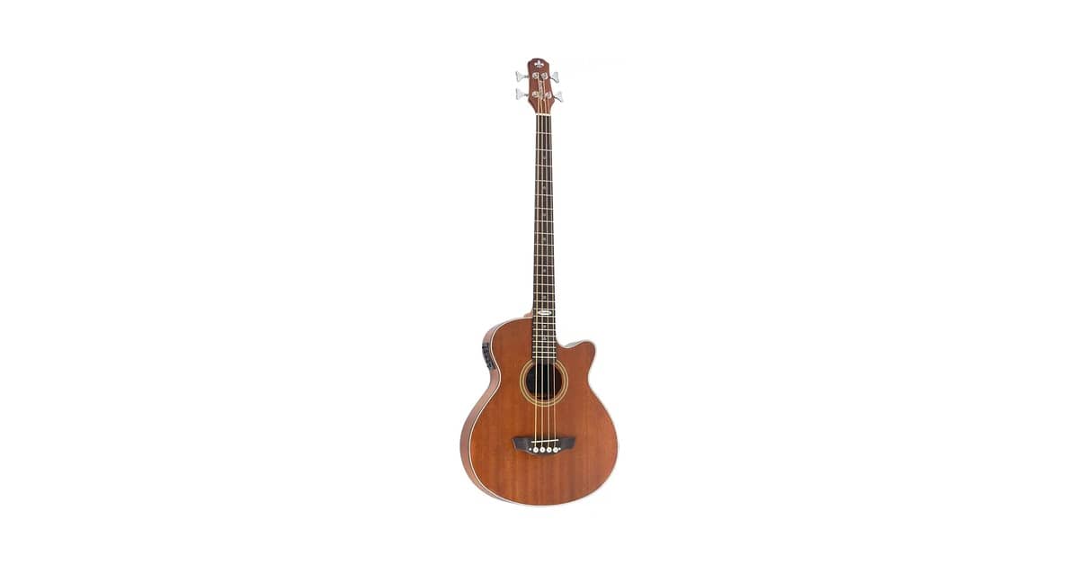Qual Melhor Baixo Acústico Para Tocar Desplugado?