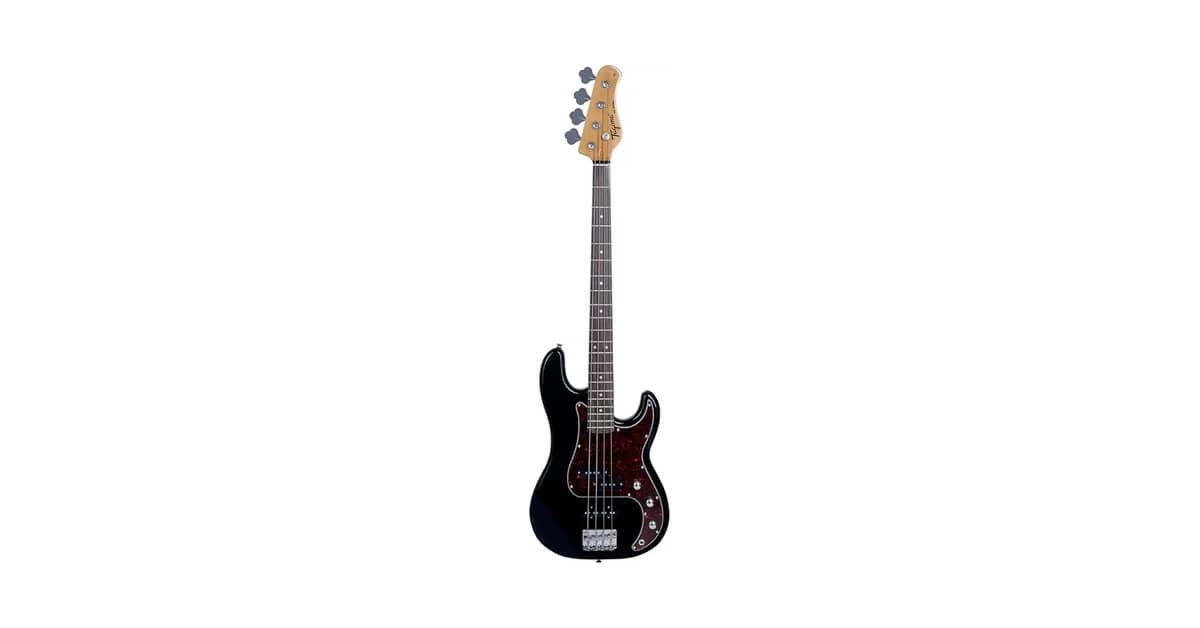 Qual Melhor Baixo Sem Trastes (Fretless)? O Guia