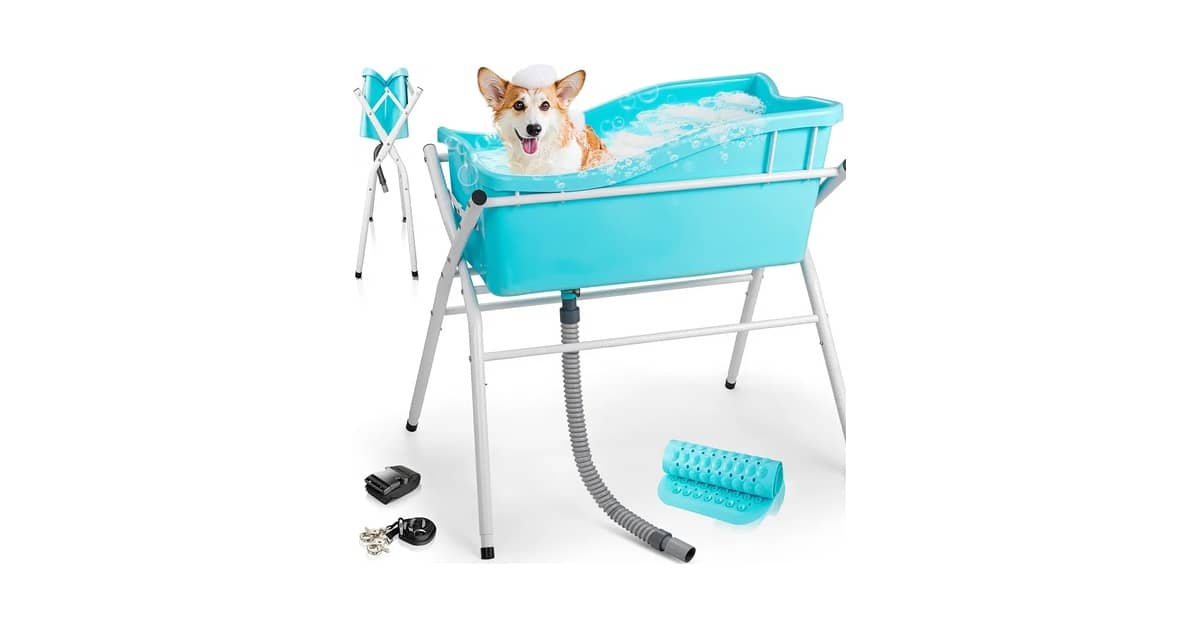 Qual Melhor Banheira para Pet Shop: Fixa vs Portátil?