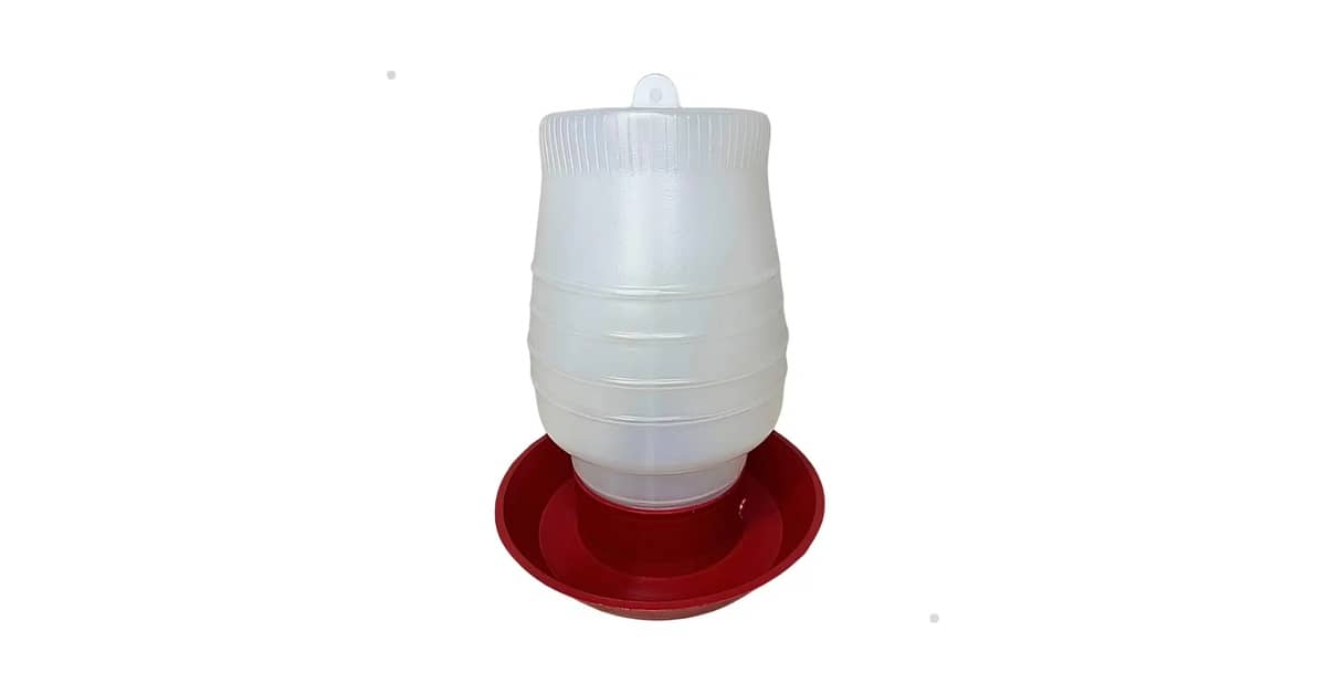 Qual Melhor Bebedouro Para Codorna? Evite Doenças