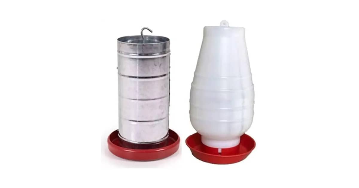 Qual Melhor Bebedouro Para Galinha: Manual ou Automático?