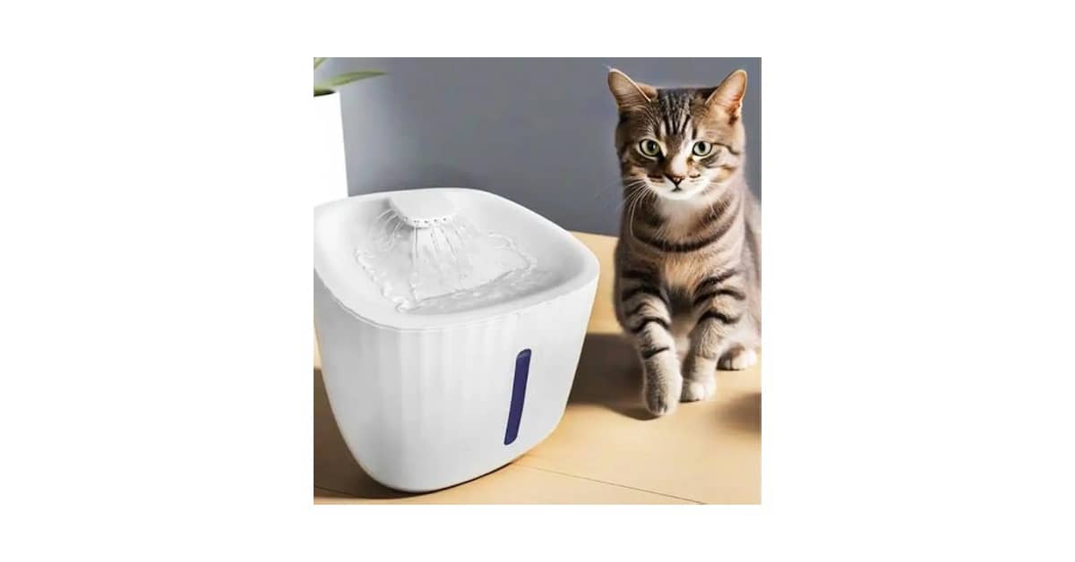 Qual Melhor Bebedouro Para Gato? 10 Opções Silenciosas