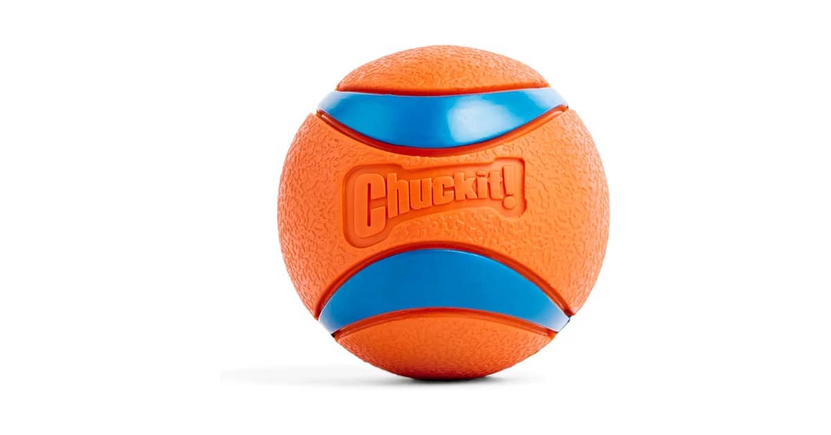 Qual Melhor Bola Para Cachorro Que Não Fura?