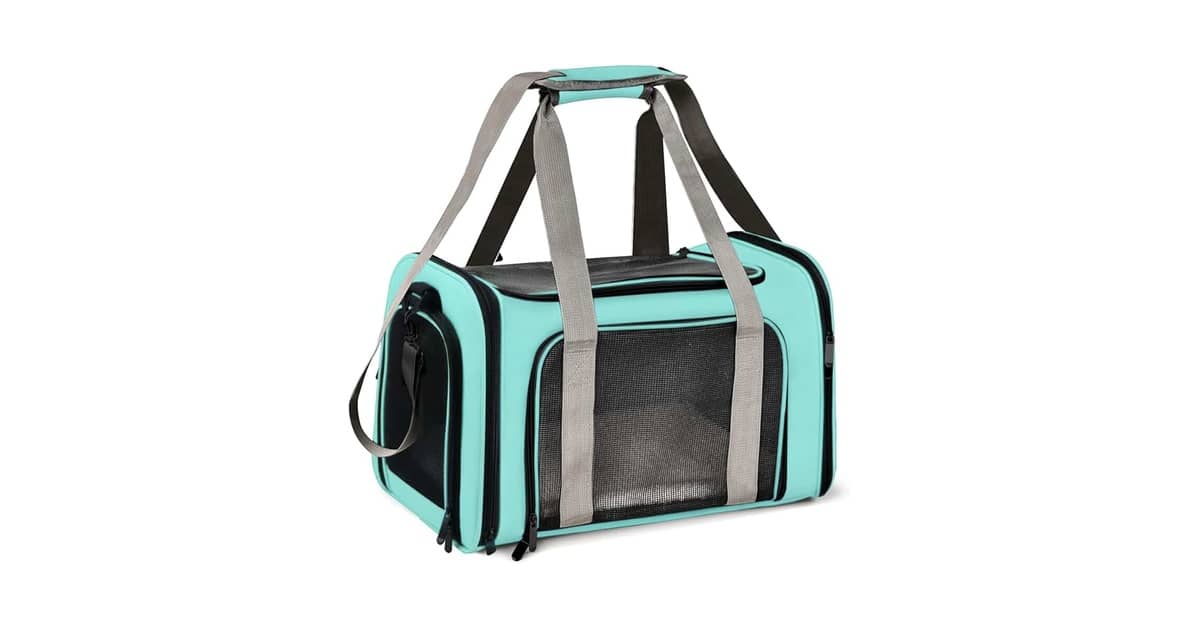 Qual Melhor Bolsa de Transporte Para Gatos? Viaje Seguro!