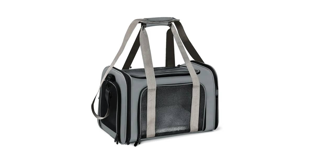 Qual Melhor Bolsa de Transporte para Pet em Avião? As 10 Opções Mais Seguras