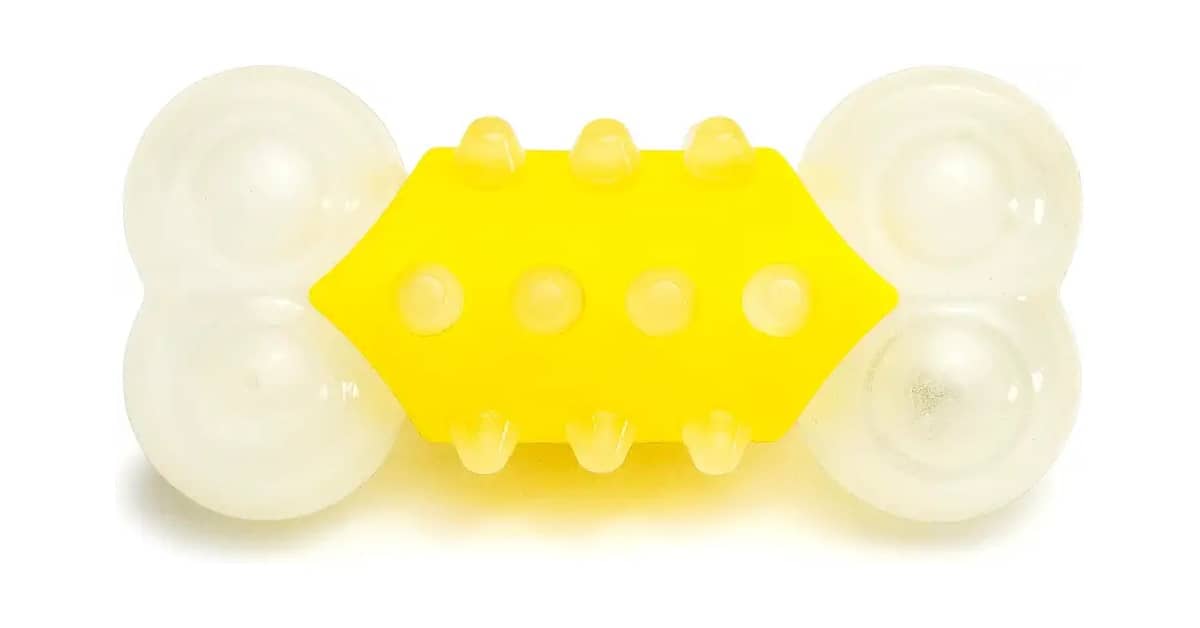 Qual Melhor Brinquedo Para Cachorro Que Flutua na Água? 10 Modelos