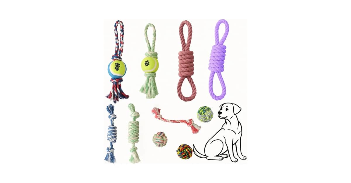 Qual Melhor Brinquedo Para Cães Com Ansiedade de Separação? O Guia