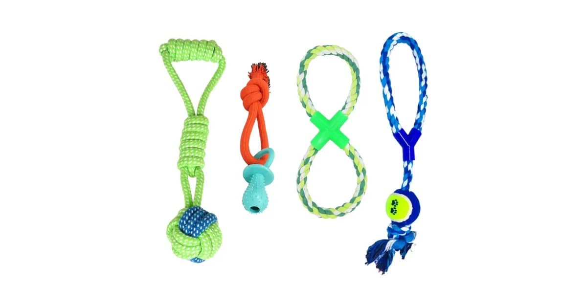Qual Melhor Brinquedo Para Cães Que Gostam de Corda? Os 10 Mais Duráveis