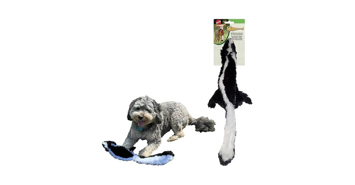 Qual Melhor Brinquedo Para Cães Que Gostam de Fazer Barulho: Análise de 10 Opções