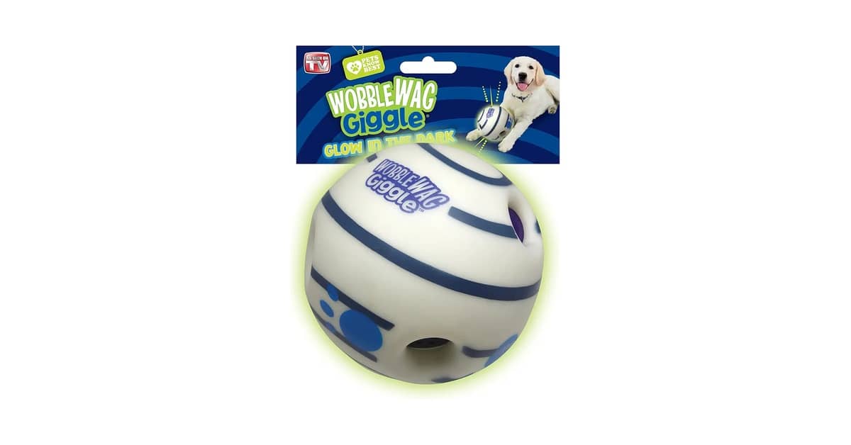 Qual Melhor Brinquedo Para Cães Que Gostam de Pular