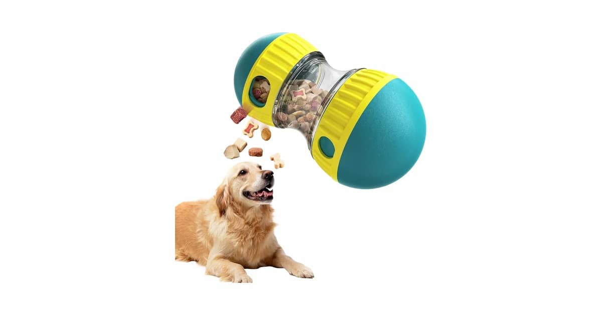 Qual Melhor Brinquedo Para Cães Que Gostam de Quebra Cabeça: Guia Por Nível