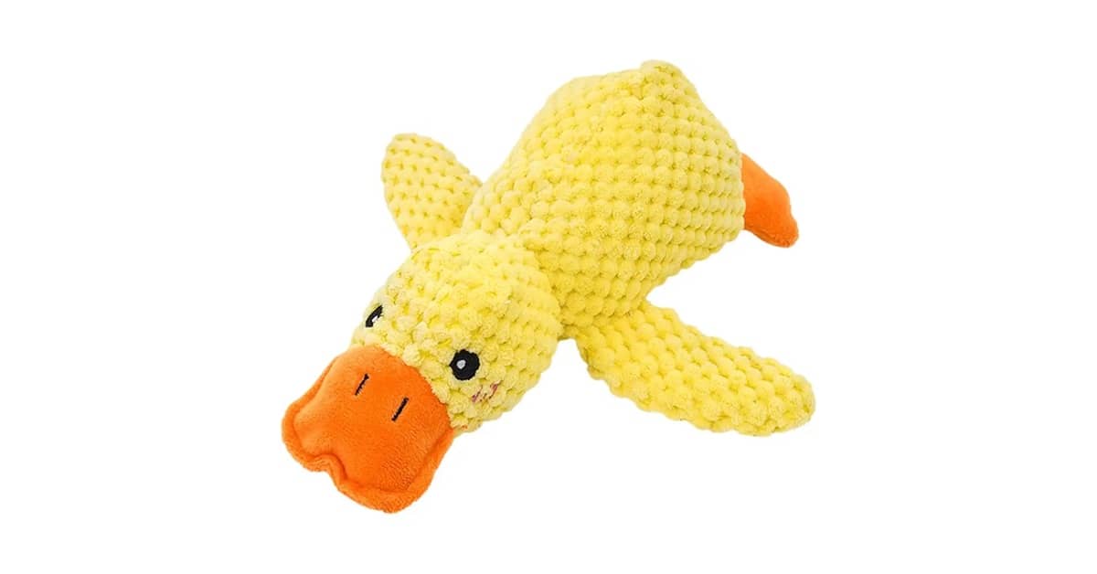 Qual Melhor Brinquedo Para Cães Que Gostam de Som: Pelúcia ou Bola?
