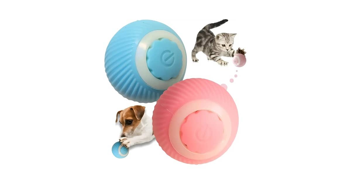 Qual Melhor Brinquedo Para Cães Que Roem Móveis?