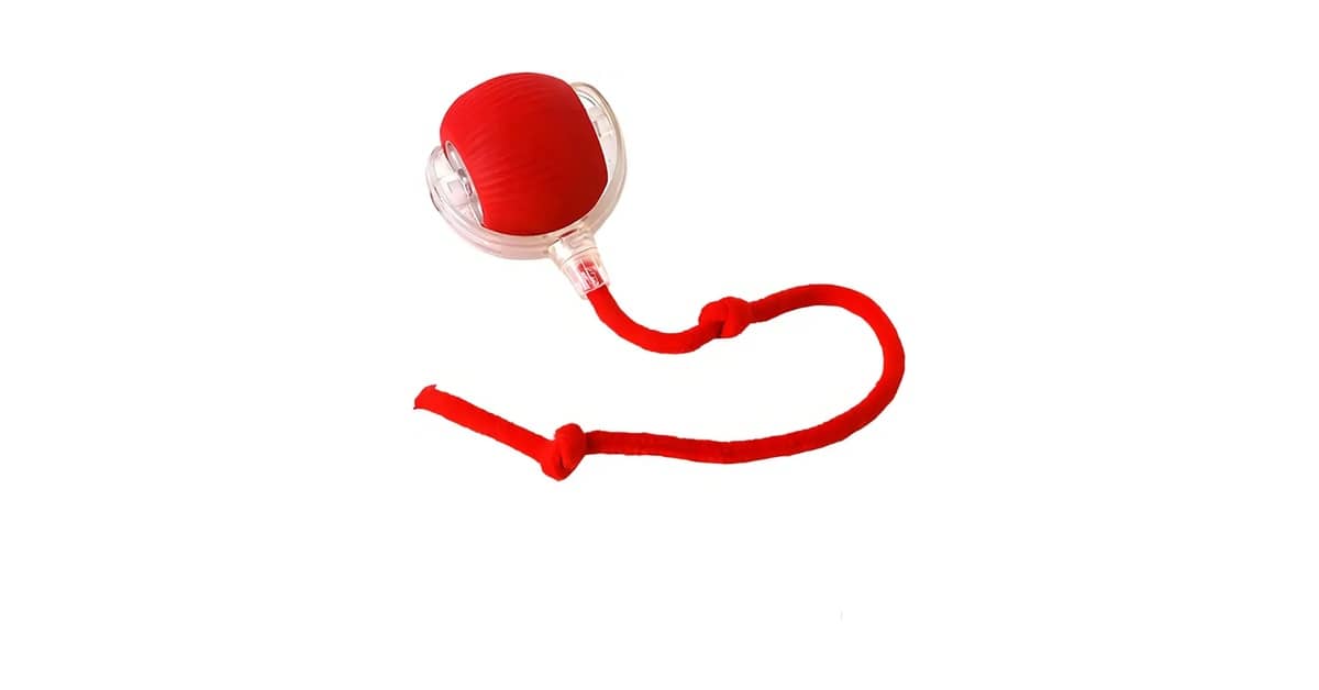 Qual Melhor Brinquedo Para Cães Que Soltam Pelos?