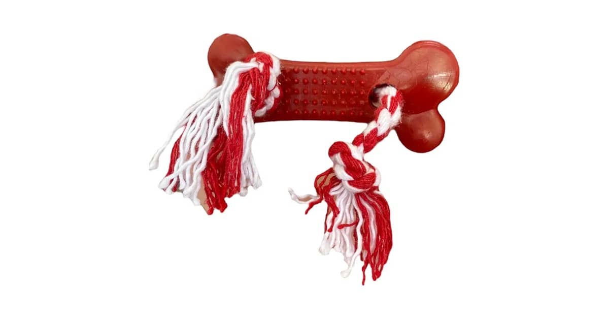 Qual Melhor Brinquedo Para Cão Filhote Para Dentes?