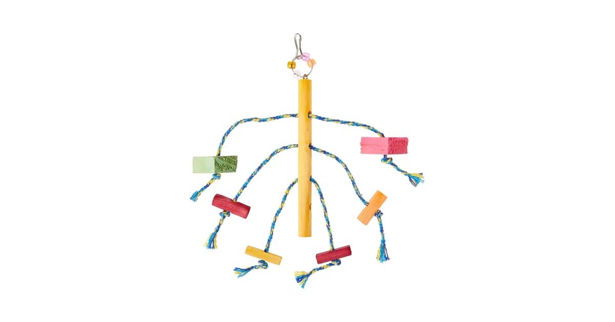 Qual Melhor Brinquedo Para Papagaio? Guia do Bem-Estar