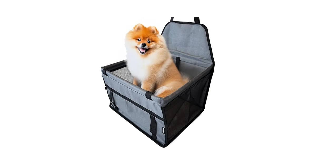 Qual Melhor Cadeirinha de Cachorro Para Viajar: Segurança Para Todos os Portes