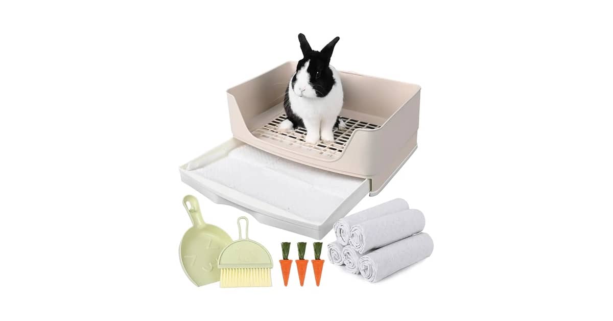 Qual Melhor Caixa de Areia Para Coelho Para Facilitar a Limpeza?