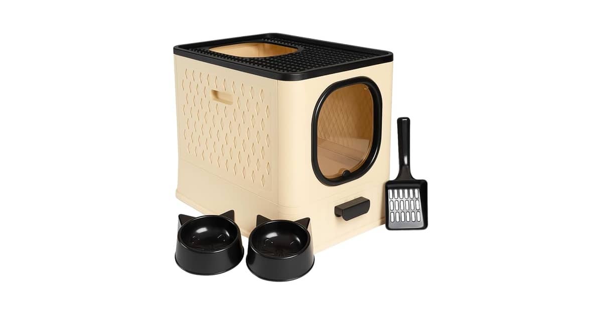 Qual Melhor Caixa de Areia Para Gatos Grandes (Maine Coon)? 7 Modelos com Mais Espaço