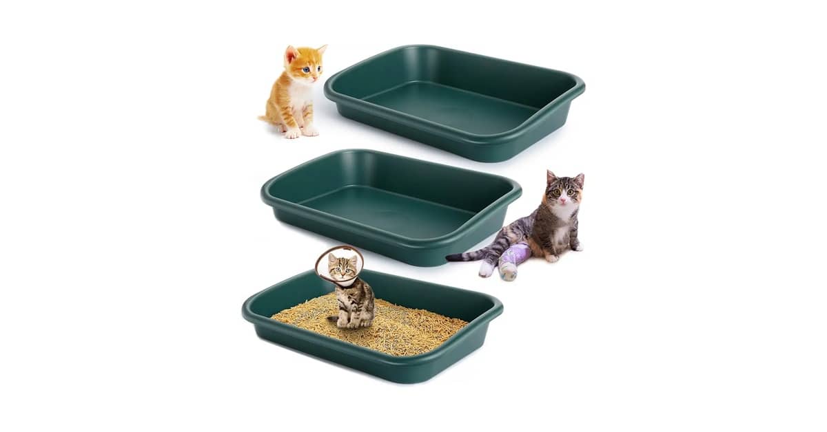 Qual Melhor Caixa de Areia Para Gatos Idosos Com Entrada Baixa? 10 Modelos de Acesso Fácil