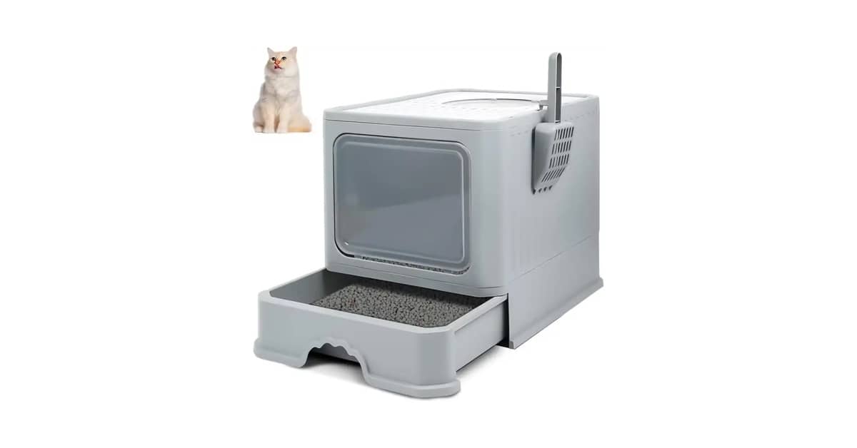 Qual Melhor Caixa de Areia Para Gatos Que Não Gostam de Porta: 10 Modelos Abertos e Adaptáveis