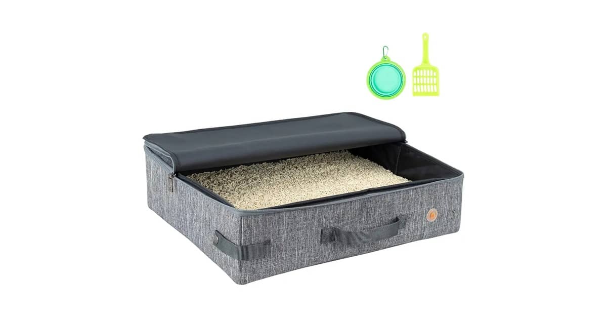 Qual Melhor Caixa de Areia Para Gatos Que Viajam?