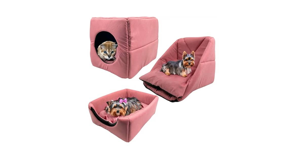 Qual Melhor Cama Iglu Para Gatos: 10 Opções Versáteis
