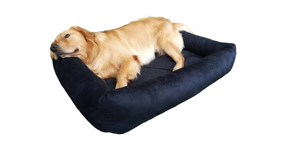 Qual Melhor Cama Para Cachorro de Porte Grande? Análise das 10 Melhores