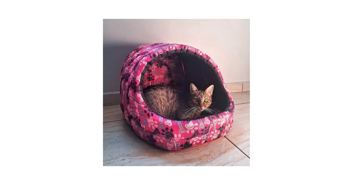 Qual Melhor Cama Para Gato Que Gosta de Se Esconder?