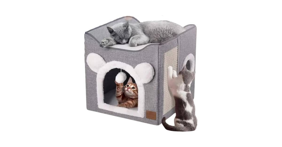Qual Melhor Cama para Gatos? Guia de Tipos e Conforto