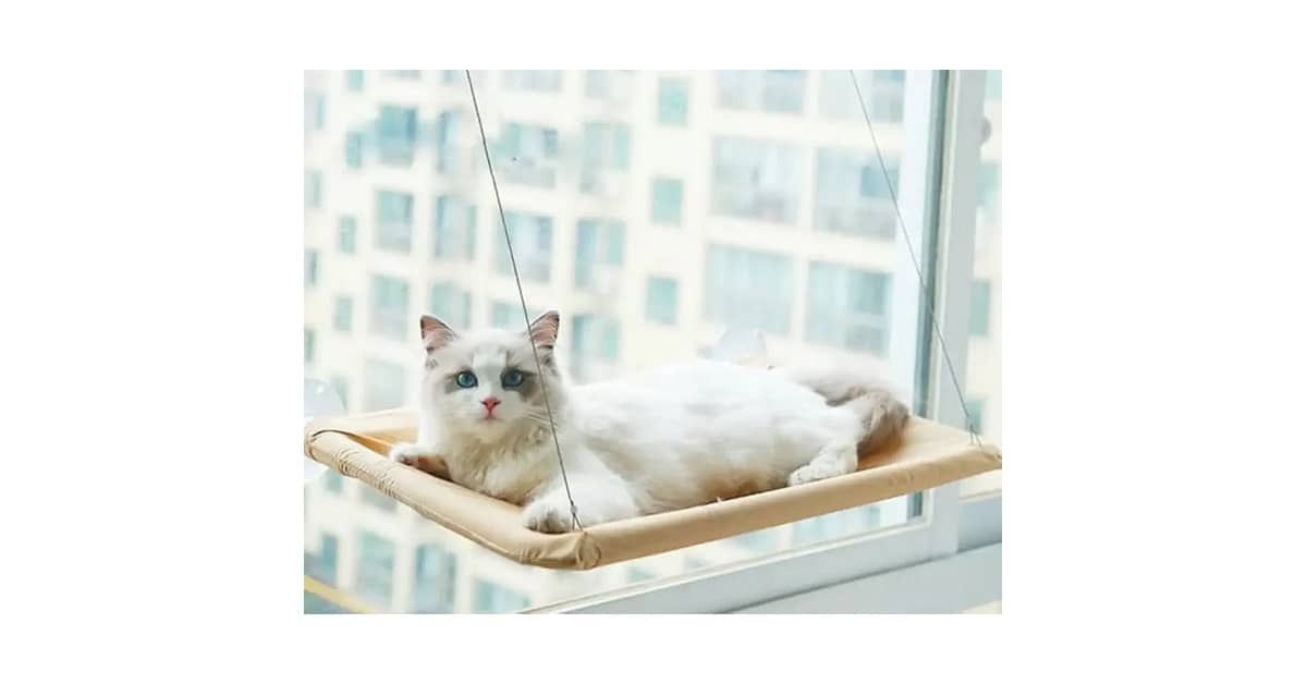 Qual Melhor Cama Suspensa Para Gatos (de Janela)?
