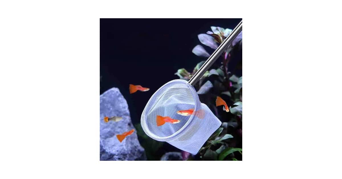 Qual Melhor Camarão Limpador para Aquário? Guia de Ferramentas