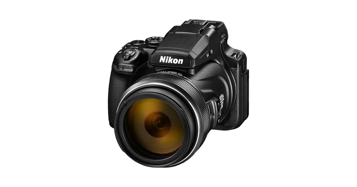 Qual Melhor Câmera com Superzoom para Fotografar Pássaros