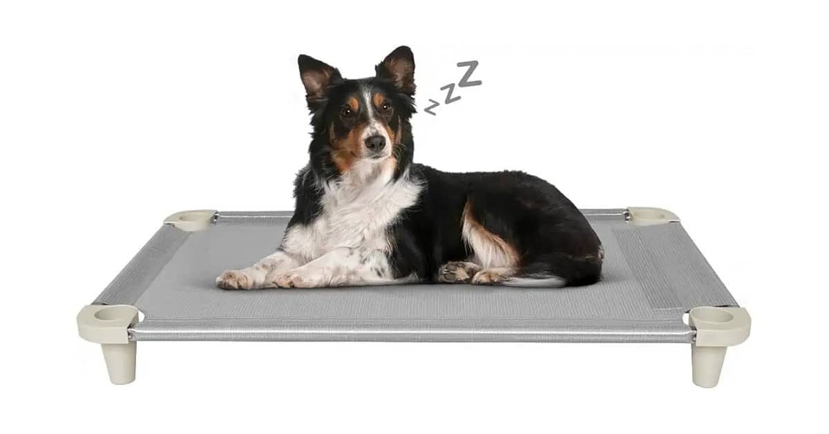 Qual Melhor Caminha de Cachorro Que Pode Ser Lavada na Máquina? Compare 8 Modelos