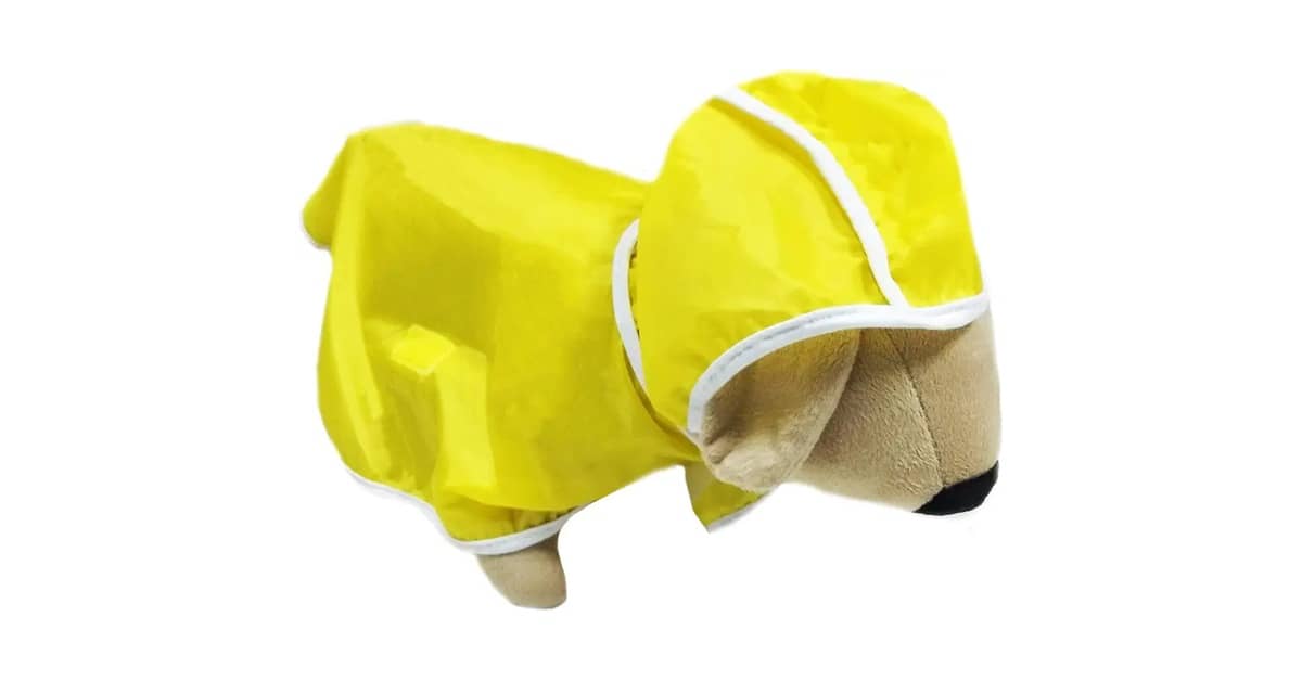 Qual Melhor Capa de Chuva para Cachorro: Top 10