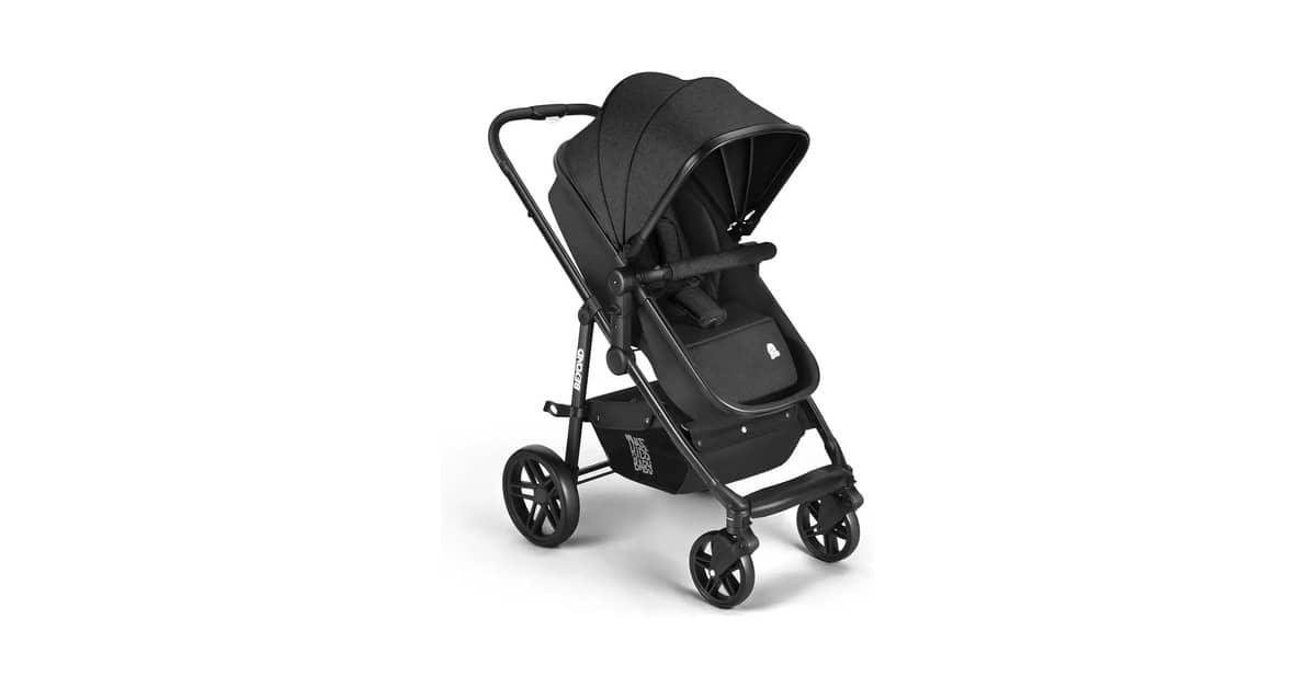 Qual Melhor Carrinho de Bebê com Assento Conversível em Moisés?