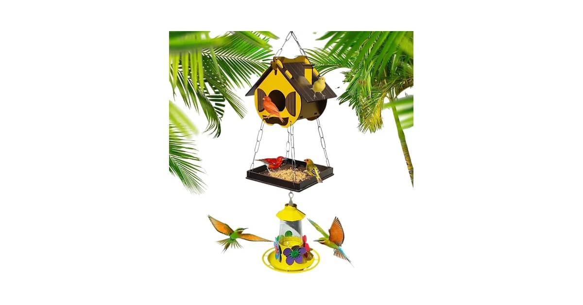 Qual Melhor Casa de Passarinho Para Jardim: 10 Opções