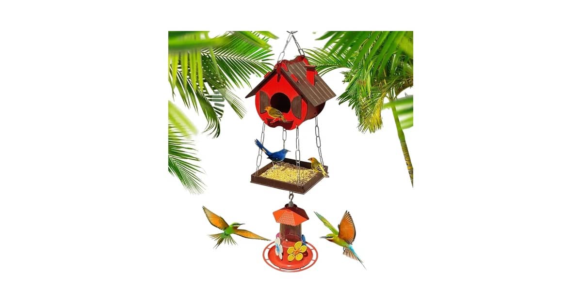 Qual Melhor Casa de Passarinho: Madeira ou Plástico?