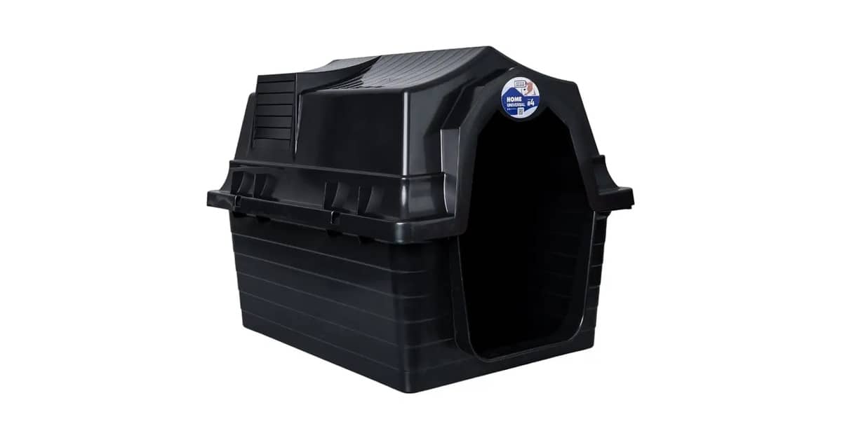 Qual Melhor Casa Para Cachorro? Porte e Material Ideal