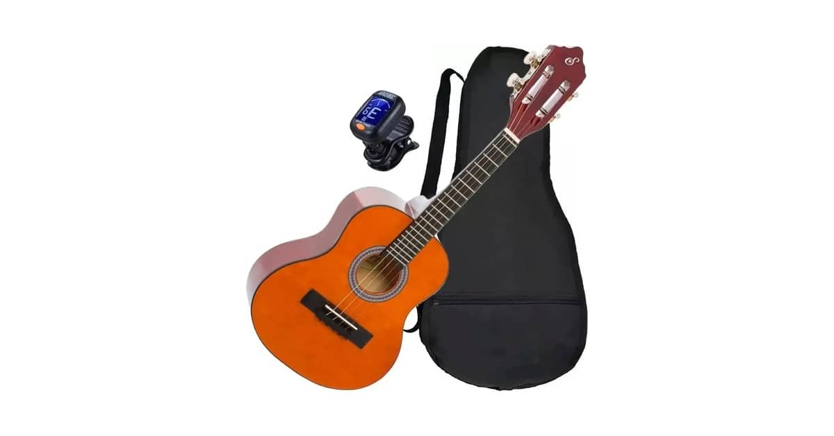 Qual Melhor Cavaquinho: Acústico ou Elétrico? Guia.