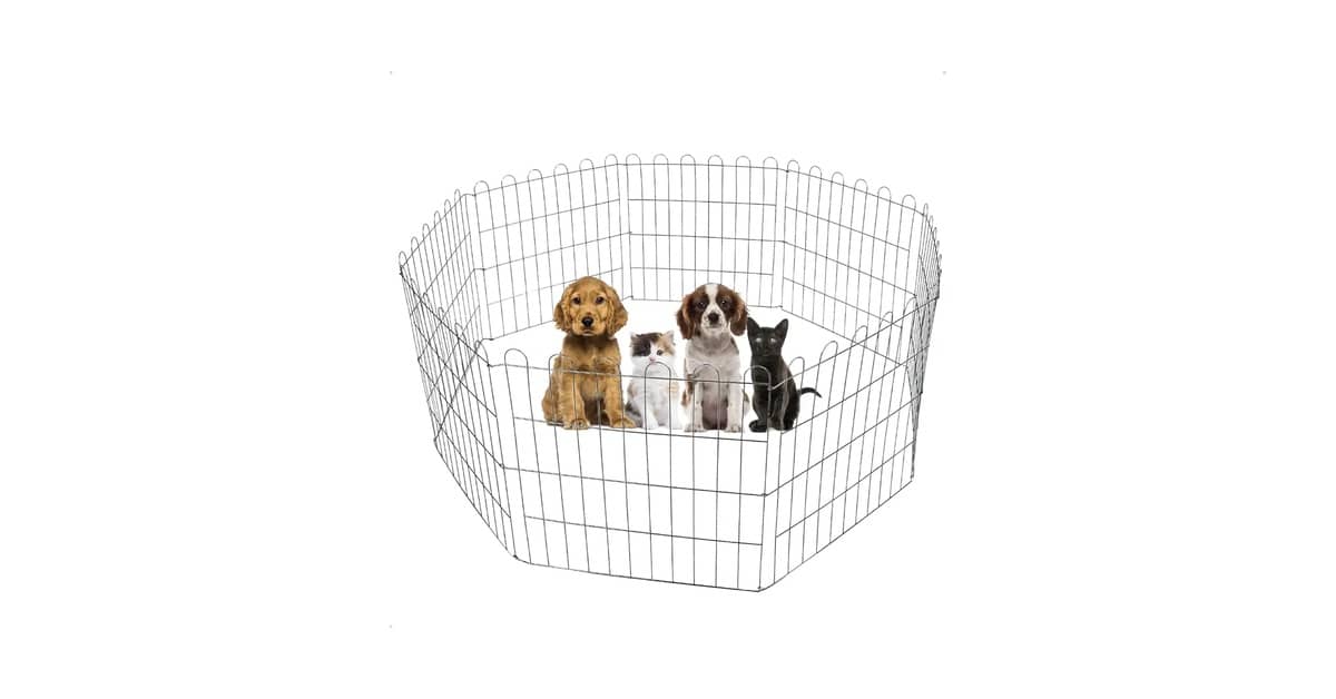 Qual Melhor Cercado Para Cachorro? Portátil ou Fixo?